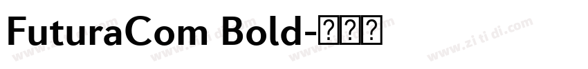 FuturaCom Bold字体转换